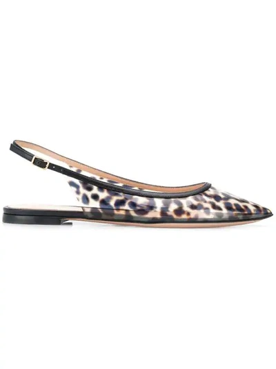 Gianvito Rossi Leopard Print Pvc Pumps - 黑色 In Leopard