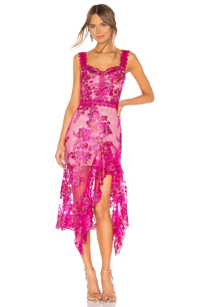 Bronx And Banco Eva Lace Cocktail Dress In Fuchsia