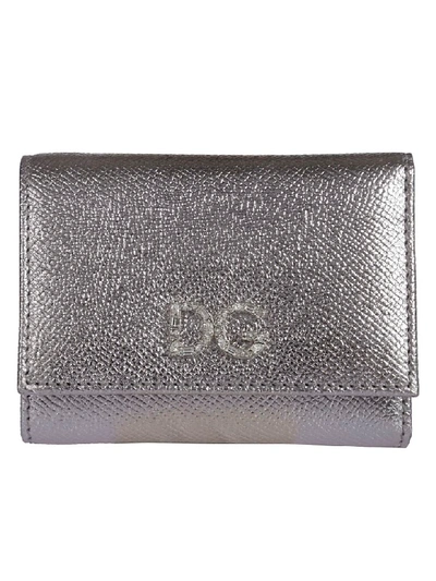 Dolce & Gabbana Metallic Flap Wallet In Multi