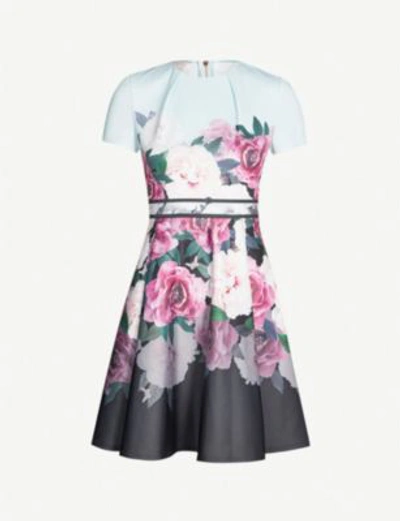 Wilmana magnificent skater dress sale