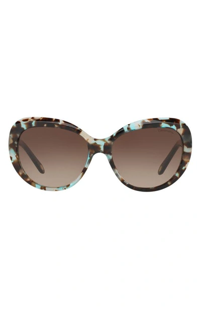 Tiffany & Co 56mm Gradient Sunglasses In Brown Gradient