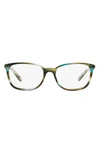 TIFFANY & CO 53MM OPTICAL GLASSES,TF2109HB53-O