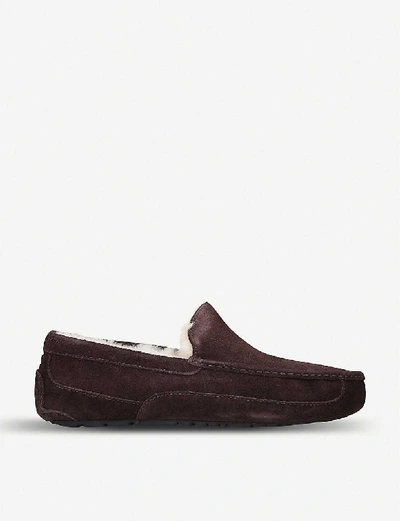 Ugg Slippers Ascot  Suede Logo Brown