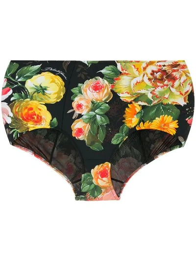 Dolce & Gabbana Floral-print High-rise Bikini Briefs In Black