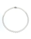 ASSAEL 16" AKOYA CULTURED GRADUATED 6.5-9.5MM PEARL NECKLACE WITH WHITE GOLD CLASP,PROD218750118
