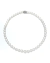 ASSAEL 16" AKOYA CULTURED GRADUATED 6.5-9.5MM PEARL NECKLACE WITH YELLOW GOLD CLASP,PROD218750117