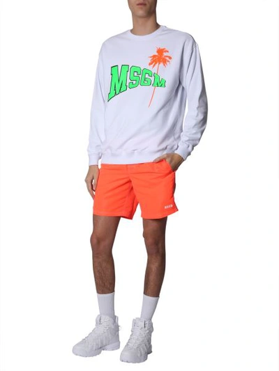 Msgm Sweatshirt With Fluo Logo And Palm In White
