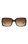 TIFFANY & CO 55MM SQUARE SUNGLASSES,TF4047B