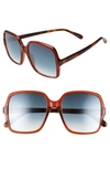 GIVENCHY 55MM SQUARE SUNGLASSES - RED HAVANA,GV7123GS