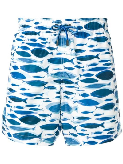 Ermenegildo Zegna Fish Pattern Swim Shorts In 蓝色