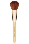 JANE IREDALE CHISEL POWDER BRUSH,18001-1