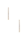 SHASHI SHASHI BELLA PAVE HOOP EARRING IN GOLD & CLEAR,SHAS-WL182