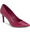 CALVIN KLEIN 'GAYLE' POINTY TOE PUMP,E7126