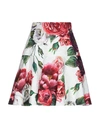 Dolce & Gabbana Midi Skirts In White