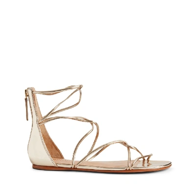 Schutz Fabia Gladiator Sandal In Platina