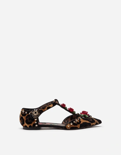 Dolce & Gabbana Ballet Flats In Velvet Stitch With Embroideries In Leopard Print