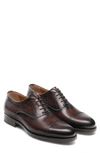Magnanni Toe Cap Six Eyelet Leather Oxfords In Marron Leather