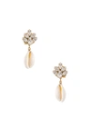 ANTON HEUNIS Cluster Shell Earrings,AHEU-WL60