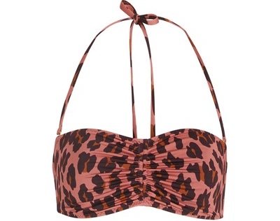 Stella Mccartney Ballet Leopard-print Triangle Bikini Top In Animal
