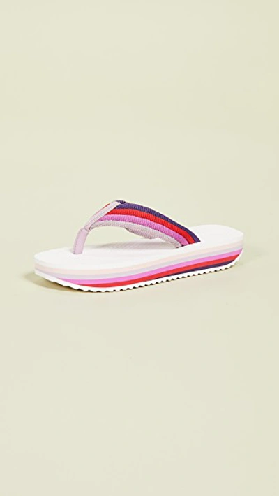 Zimmermann Rainbow Platform Thong Sandals In Berry Multi