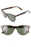 Ray Ban 55mm Round Wayfarer Sunglasses - Havana Solid In Green Classic G-15