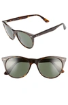 Ray Ban 55mm Round Wayfarer Sunglasses - Havana Solid In Black