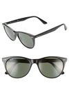 Ray Ban 55mm Round Wayfarer Sunglasses In Black Solid