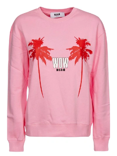 Msgm Printed Sweatshirt In Pink