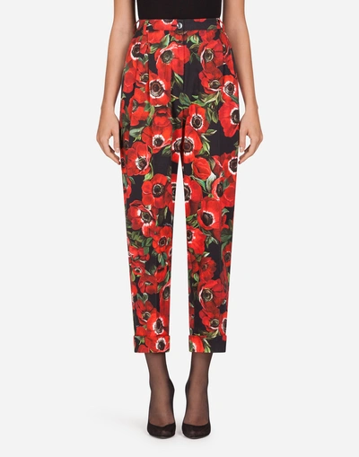 Dolce & Gabbana Anemone-print Cotton Pants In Floral Print