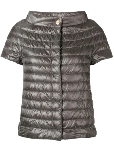 Herno Short-sleeved Padded Jacket - 灰色 In Grey