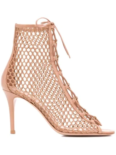Gianvito Rossi Cage 105 Mesh And Leather Ankle Boots In Praline