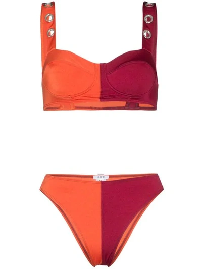 Ack Red Amore Flirt High Leg Bikini In Orange ,pink
