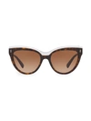 VALENTINO 54MM HAVANA CAT EYE SUNGLASSES,400010598212