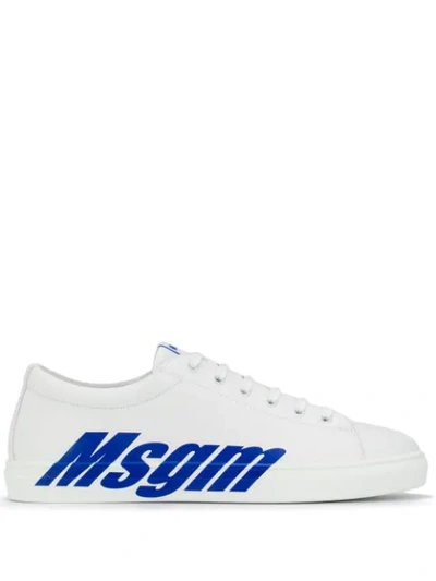 Msgm Contrast Logo Trainers In 83 White/ Blue