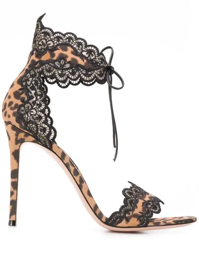 Gianvito Rossi 105 Lace-trimmed Leopard-print Satin Sandals In Multicolored