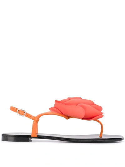 Giuseppe Zanotti Leather Thong Sandal With Flower Detail In Orange