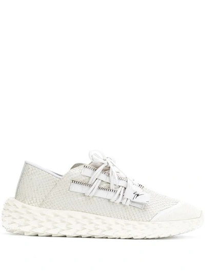 Giuseppe Zanotti Textured Low-top Sneakers - 白色 In White