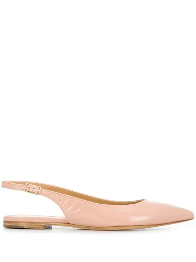 Antonio Barbato Pointed Slingback Shoes In Pink