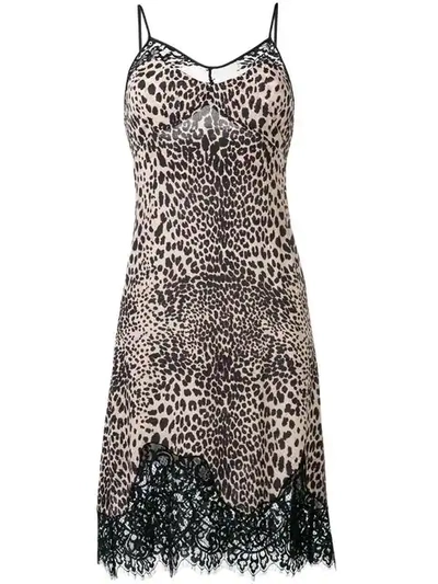 Mcq By Alexander Mcqueen Lace Panel Animal-print Slip Dress In Animal Print