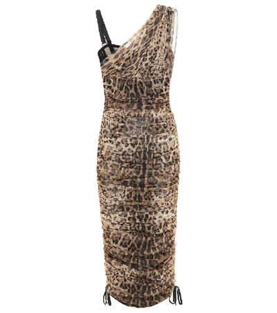 Dolce & Gabbana One-shoulder Lace-up Leopard-print Mesh Dress In Brown,beige
