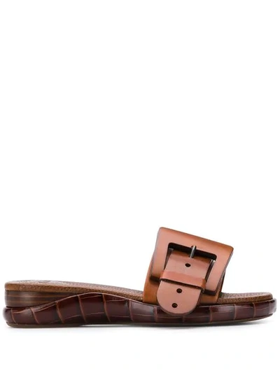 Chloé Wave Buckled Croc-effect Leather Slides In Mustang Brown