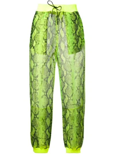 Off-white Snake-print Chiffon Track Pants In Yellow