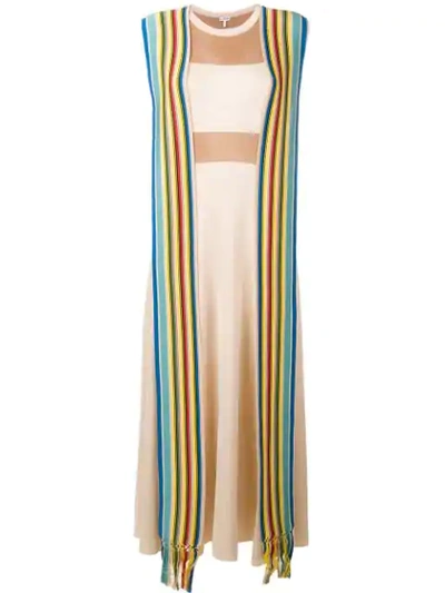 Loewe 条纹针织连衣裙 - 大地色 In Multicolor