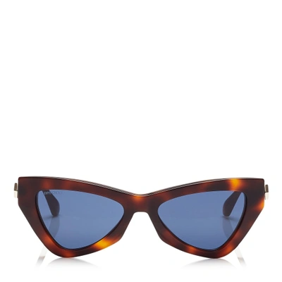 Jimmy Choo Donna Blue Avio Cat Eye Sunglasses With Havana Frame In Multi
