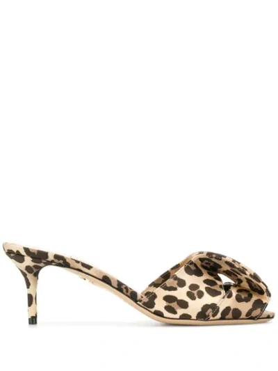 Charlotte Olympia Satin Leopard-printed Mules In Brown