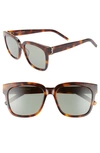 Saint Laurent Women's Square Sunglasses, 54mm In Havana/ Green
