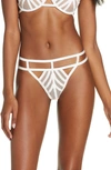 BLUEBELLA LONDON THONG,40744