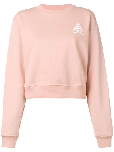 Off-white Floral Embroidered Sweatshirt - 粉色 In Pink
