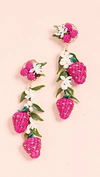 MERCEDES SALAZAR Tropics Strawberry Earrings