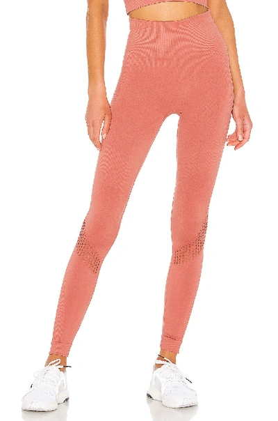 Alala Seamless Tight In Pink. In Pink Sand